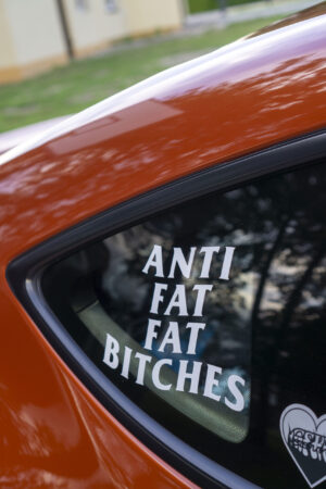 Naklejka "Anti Fat Fat B*tches"