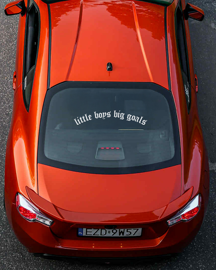 Baner little boys big goals - obrazek 2